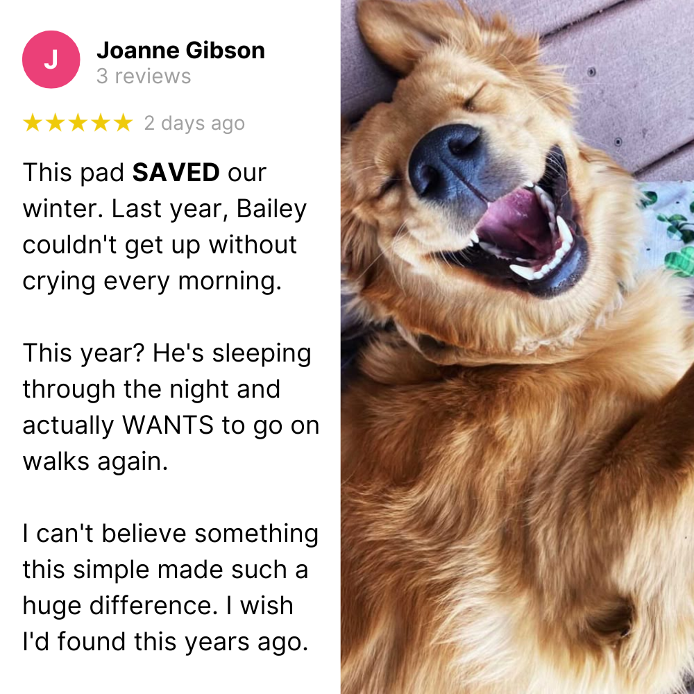 CozyPaws Smart Heating Pad™